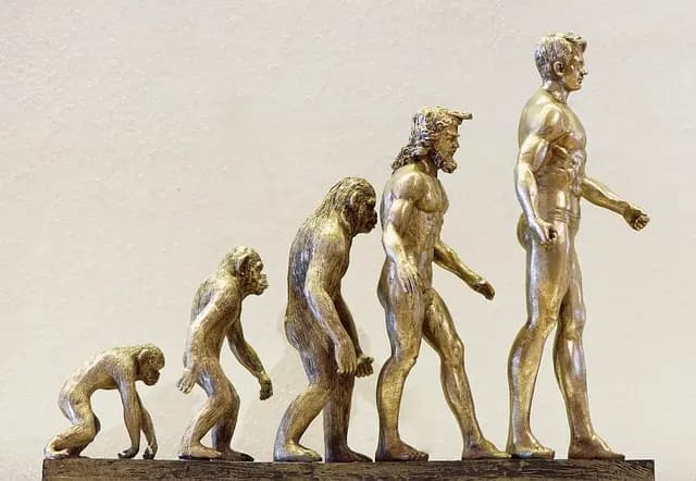 L'évolution des marques iconiques : de la tradition à l'innovation