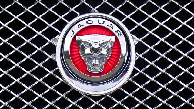 Les secrets des marques iconiques : comment elles fascinent